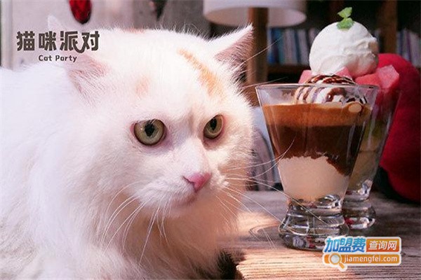 猫咪派对加盟