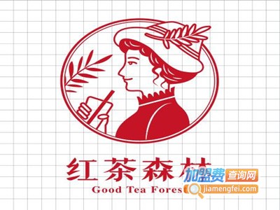 红茶森林加盟费