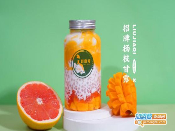 刘嘉奇杨枝甘露加盟费