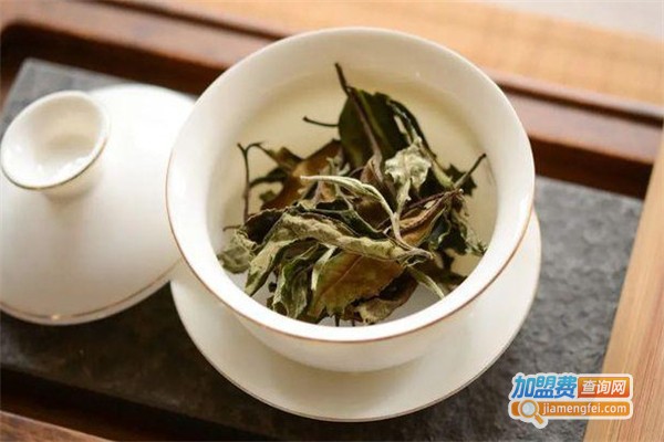 一起茶加盟费