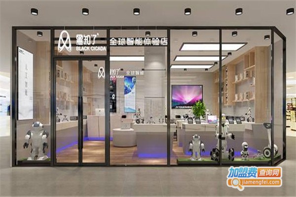 黑知了加盟费