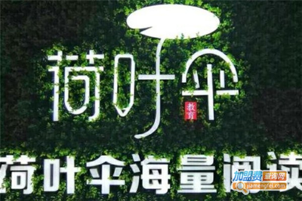 荷叶伞海量阅读加盟费