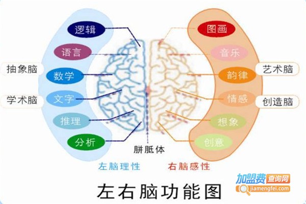 博文广记全脑阅读加盟费