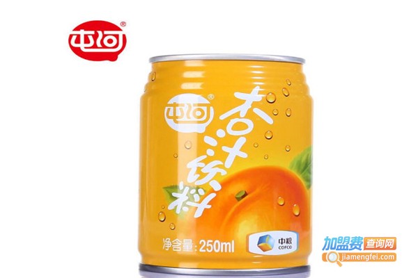 屯河饮料