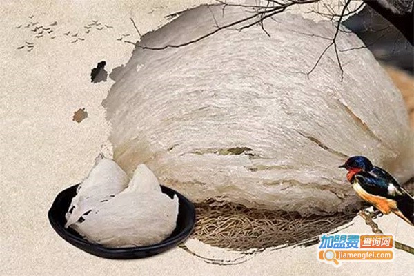 东风灵燕窝加盟