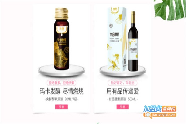 善酵美容加盟