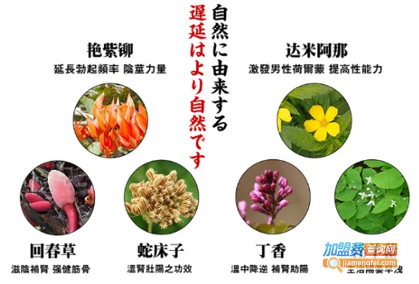 黑豹加盟