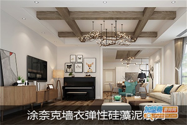 涂奈克墙面大师加盟