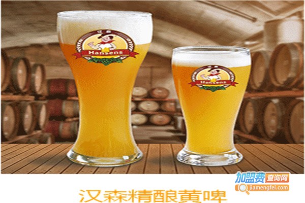 汉森啤酒屋加盟
