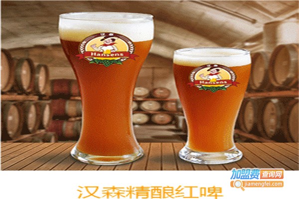 汉森啤酒屋加盟