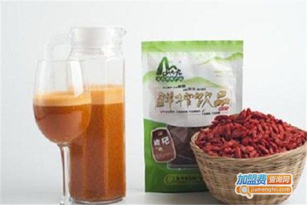 山老九加盟费
