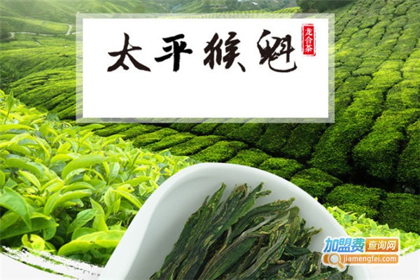 太平猴魁加盟费