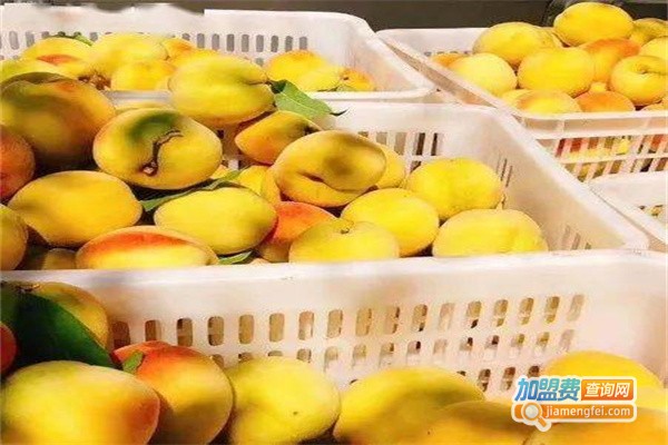 鲜果壹号水果加盟