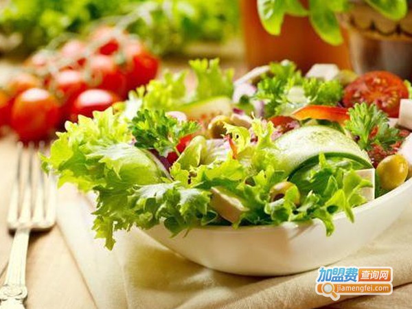 爱丽瘦减肥加盟费