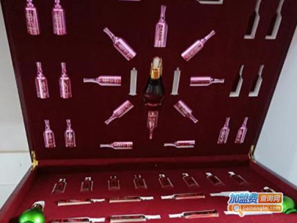 蒂妃梵减肥加盟费