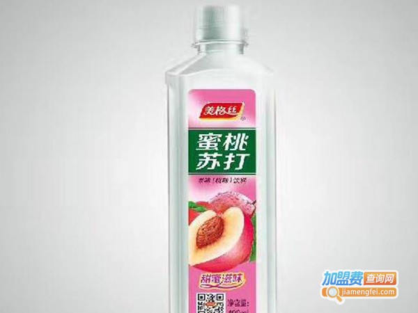 美格丝加盟费