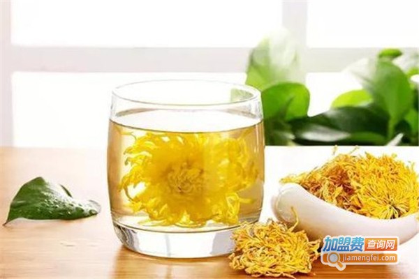 顿顿茶加盟费