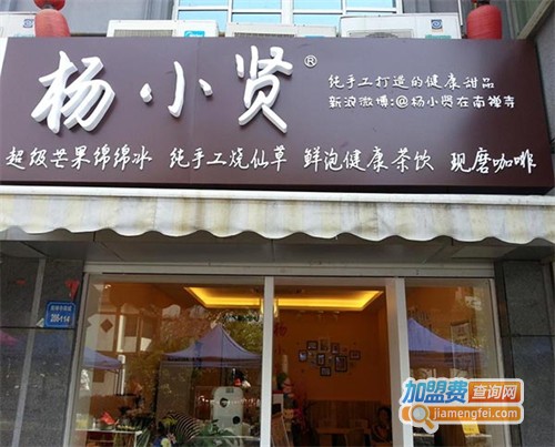 杨小贤加盟费