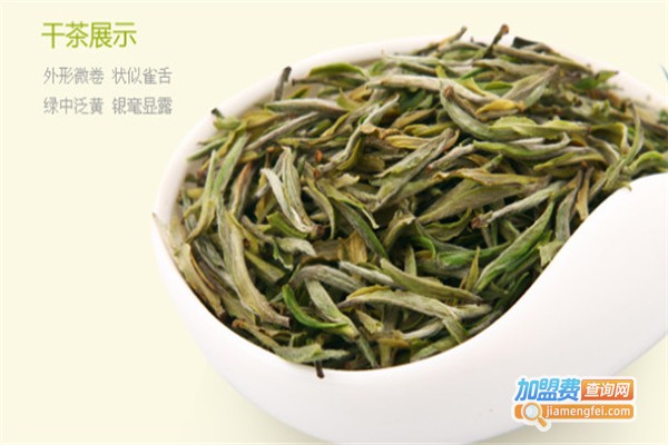 和甲加盟费