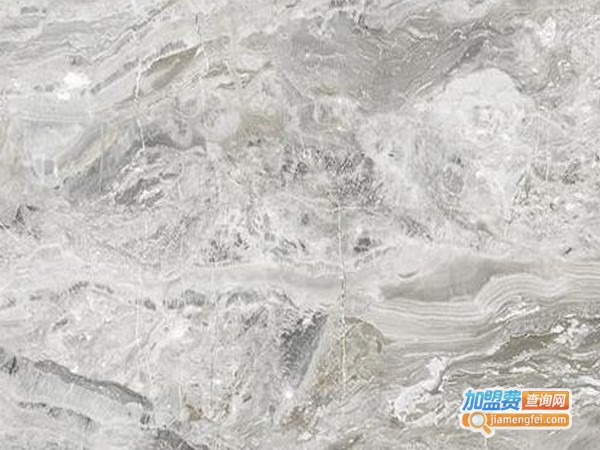 佰奇美加盟费