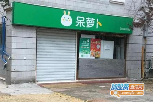 呆萝卜加盟费