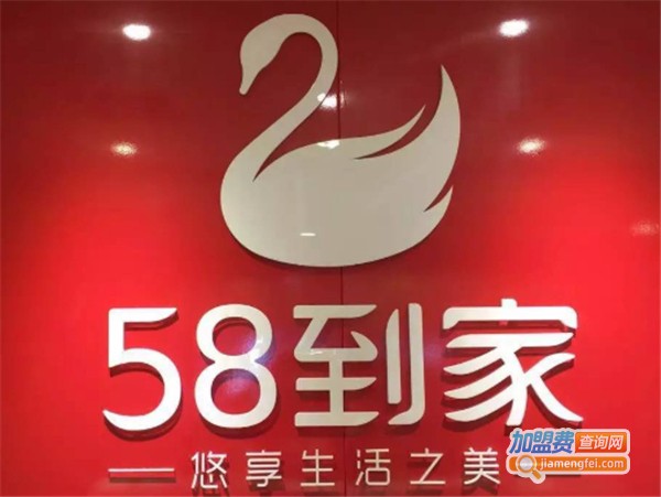 天鹅到家加盟