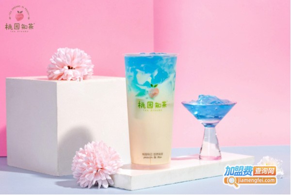 桃园知茶加盟费