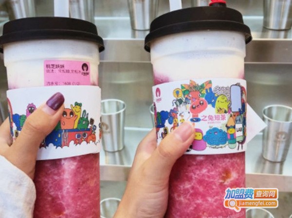 之兔知茶加盟费