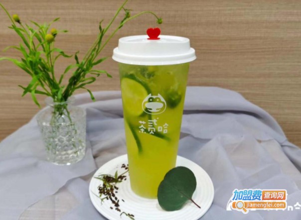 茶贰哈加盟费