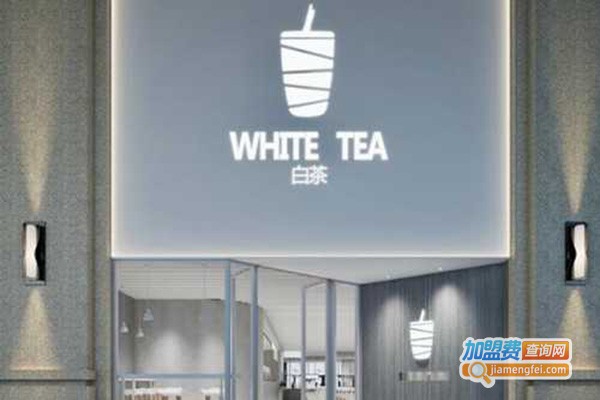 white tea白茶加盟费