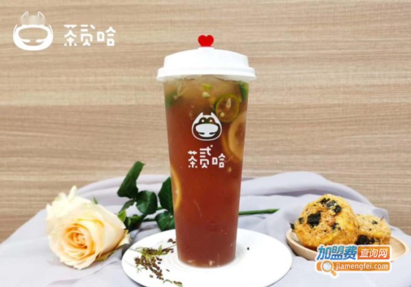 茶贰哈加盟费