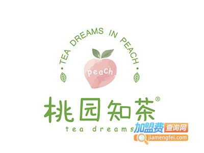 桃园知茶加盟电话