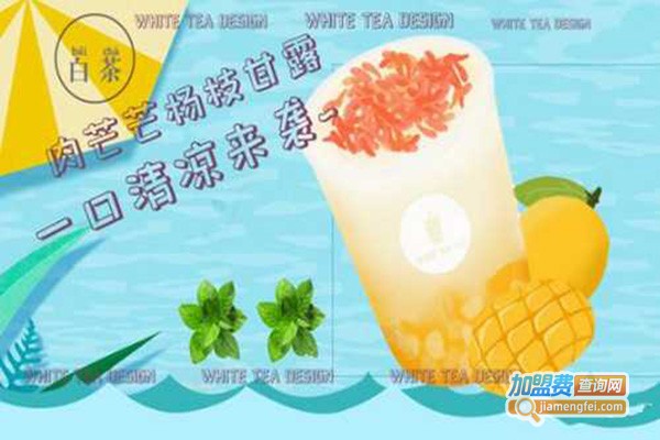 white tea白茶加盟费