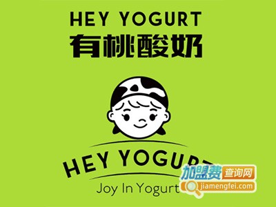 hey yogurt有桃酸奶加盟费