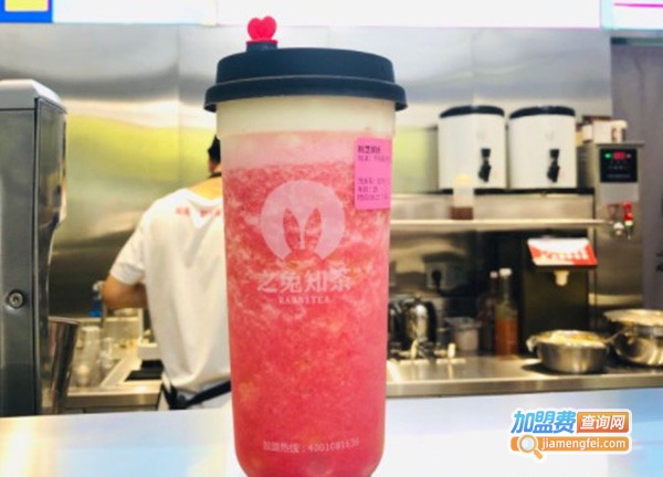 之兔知茶加盟费