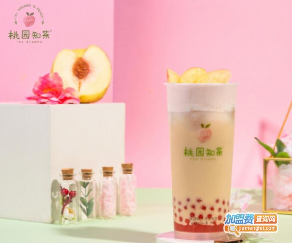 桃园知茶加盟费