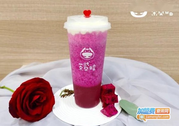 茶贰哈加盟费