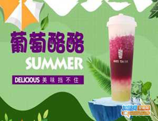 white tea白茶加盟费