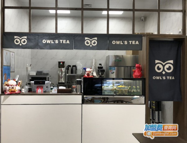 Owl's TEA猫头鹰的柠檬茶加盟费