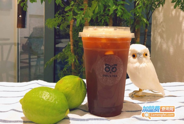 Owl's TEA猫头鹰的柠檬茶加盟费