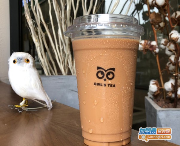 Owl's TEA猫头鹰的柠檬茶加盟费