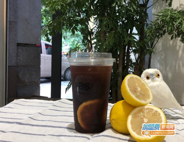 Owl's TEA猫头鹰的柠檬茶加盟费