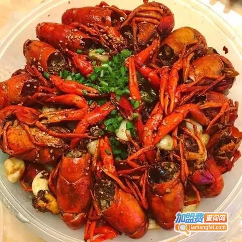 网红加盟费