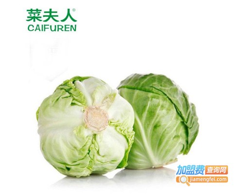 菜夫人加盟费