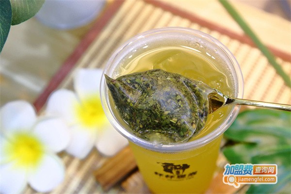 猫头鹰茶森林加盟