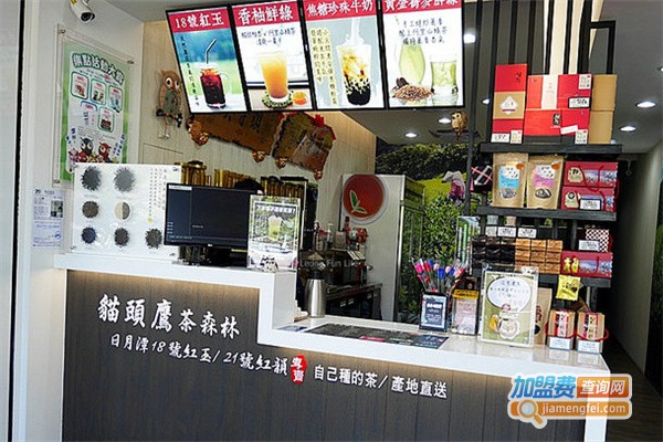 猫头鹰茶森林加盟