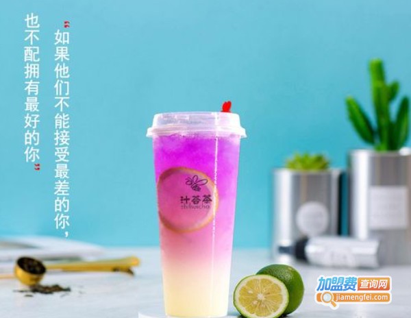 汁荟茶加盟费