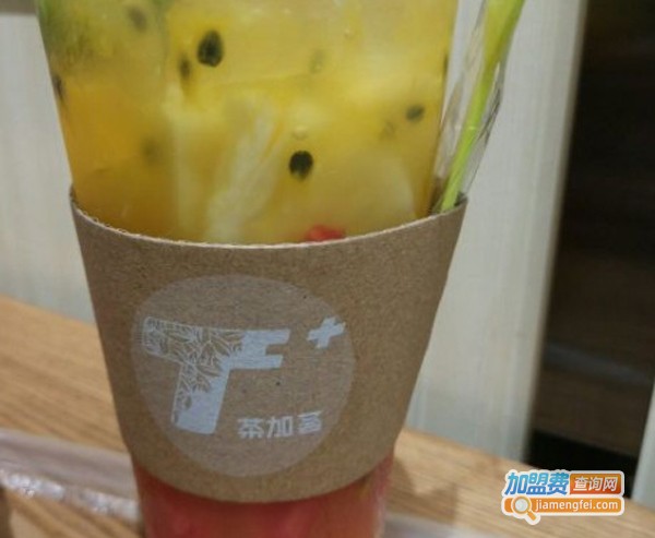 T+茶加荟加盟费