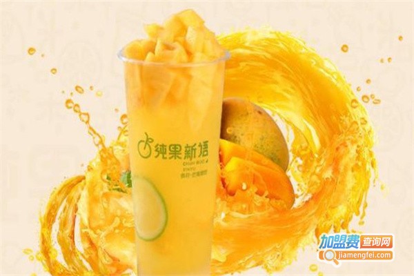 纯果新语加盟