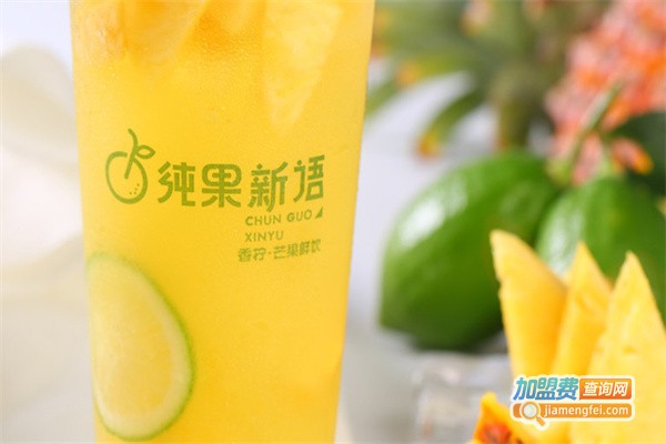 纯果新语加盟